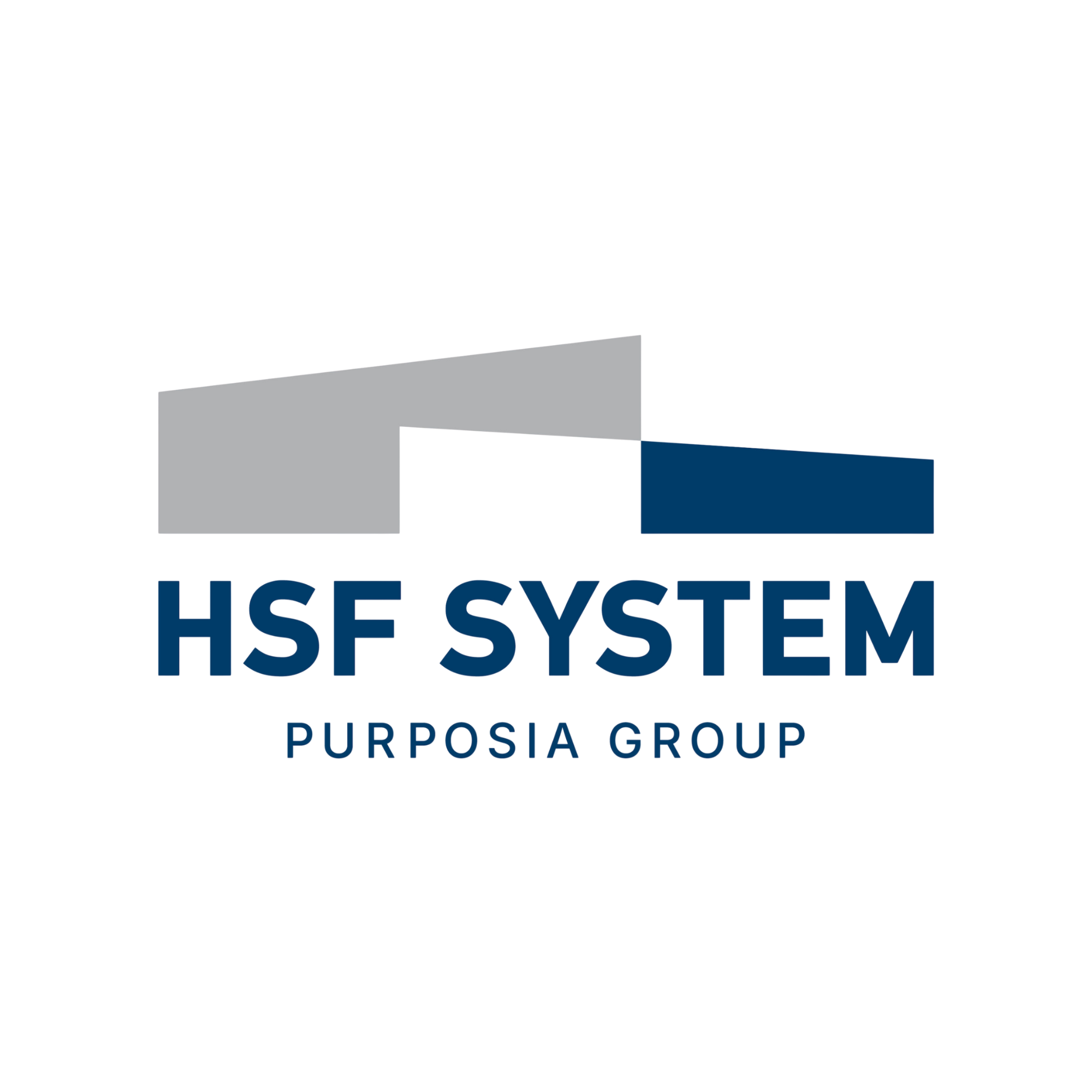 HSF SYSTEM